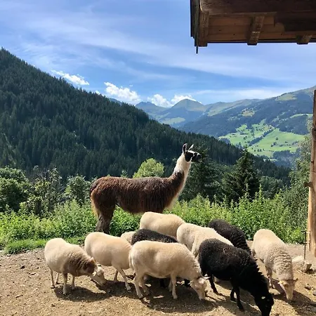 Haizelrock * Kirchberg in Tirol