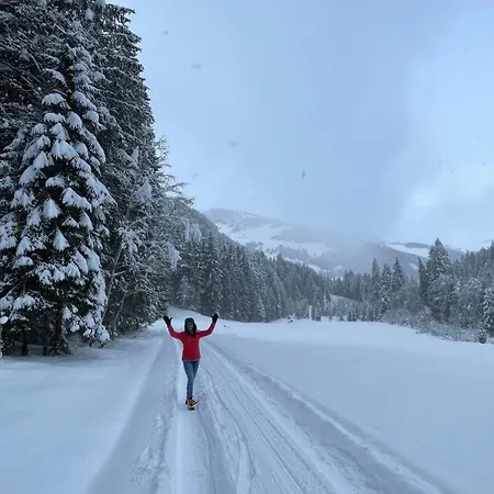 Haizelrock * 蒂罗尔-基希贝格