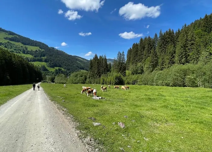 Haizelrock Lägenhet *