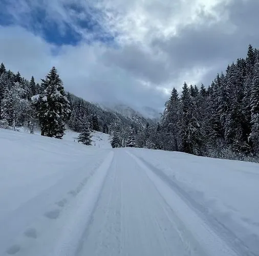 Haizelrock Lägenhet *