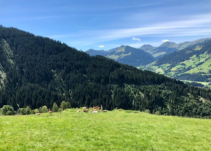 Appartement Haizelrock *