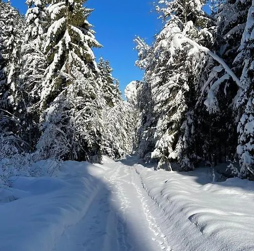 Apartmán Haizelrock